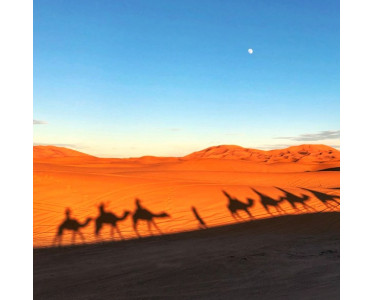 Best Of Morocco Experience: Morocco Tours and Excursions