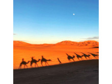 Best Of Morocco Experience: Morocco Tours and Excursions