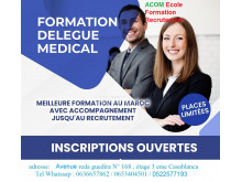 Formation Délégué Médical Stage Emploi 