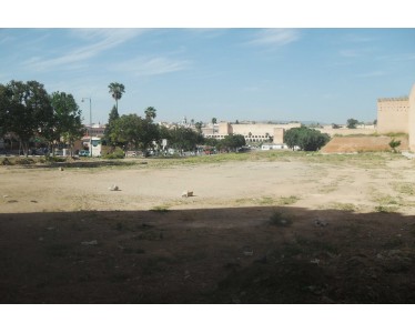 Terrain à vendre deux hectares et 6866 m² en plein centre ville Meknès