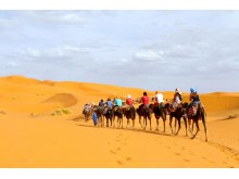 Sahara Excursions from Marrakech, Morocco Desert Tours from Marrakech including Camel Trek