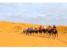 Morocco Desert Tours from Marrakech