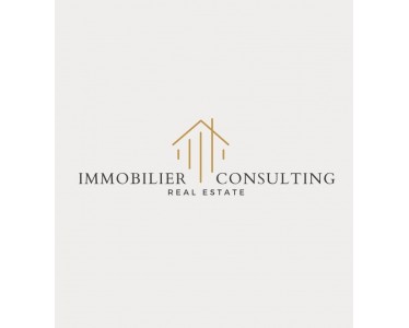 CONSULTING EN IMMOBILIER