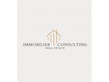 CONSULTING EN IMMOBILIER 