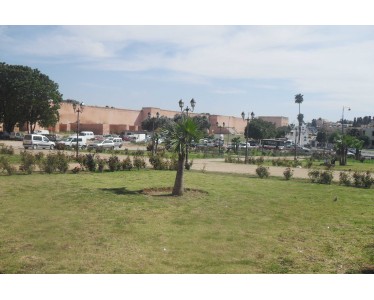 Terrain à vendre deux hectares et 6866 m² en plein centre ville Meknès