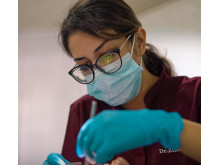 Dr. Lahyani Zineb (dentiste)