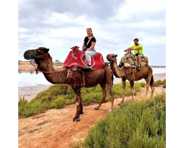 Unforgettable Agadir Camel Ride – Camel Tour in Agadir