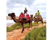Unforgettable Agadir Camel Ride – Camel Tour in Agadir
