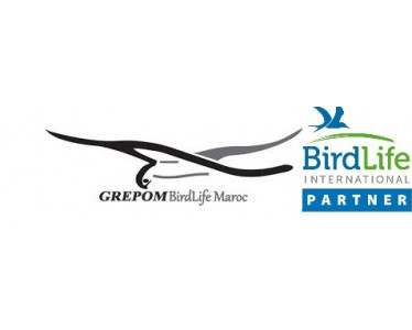 GREPOM / Birdlife Maroc ( Groupe pour la Recherche et la Protection des oiseaux au Maroc)