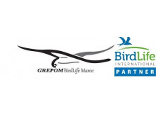 GREPOM / Birdlife Maroc ( Groupe pour la Recherche et la Protection des oiseaux au Maroc)