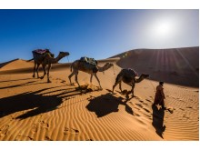 Morocco desert tours & day trip from Marrakech