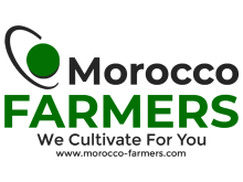 Morocco Farmers