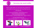 Services du nord Millie خدمات الشمال ميلي