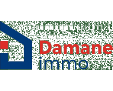 Damane Immo expert dans l'immobilier depuis 2014