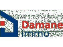 Damane Immo expert dans l'immobilier depuis 2014