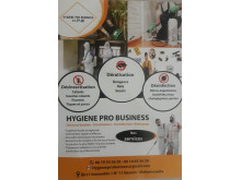 Désinfection Dératisation - HYGIENE PRO BUSINESS