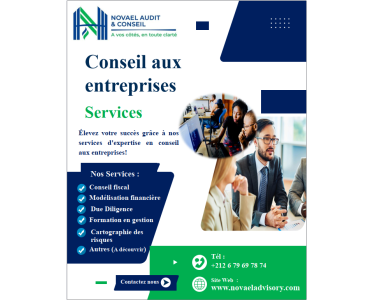 NOVAEL AUDIT & CONSEIL
