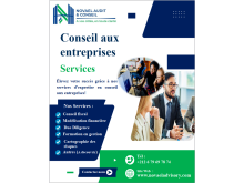 NOVAEL AUDIT & CONSEIL