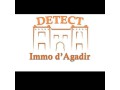 detectimmo