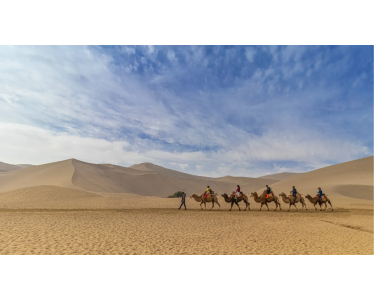 Unforgettable Agadir Camel Ride – Camel Tour in Agadir