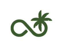 InfiniPalm — Pépinière de palmiers rares et plantes