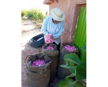 Coopérative agricole ararose (COOPÉRATIVE PLANTES AROMATIQUES ET MÉDICINALES)