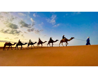 Circuit des Villes Impériales au départ d'Agadir | Culture & Histoire