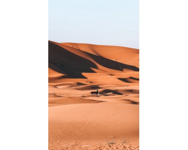 Morocco Desert Tours from Marrakech