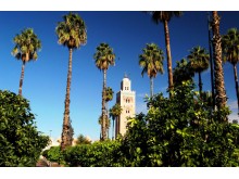 Excursion MARRAKECH 