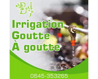 Bety Jardin, Service de Jardinage et Paysagistes